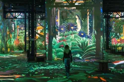 femme dos jungle projection