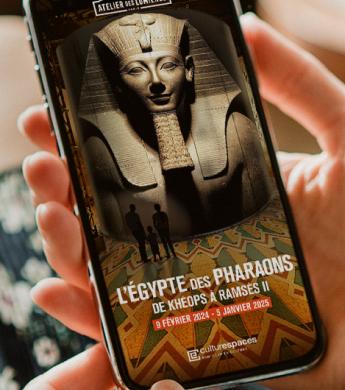 app Egypte