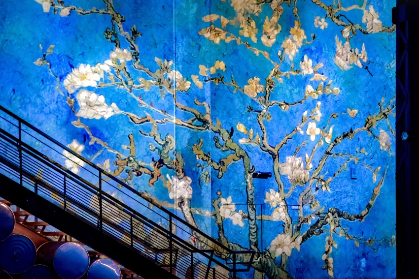 Atelier des lumiere van gogh best sale