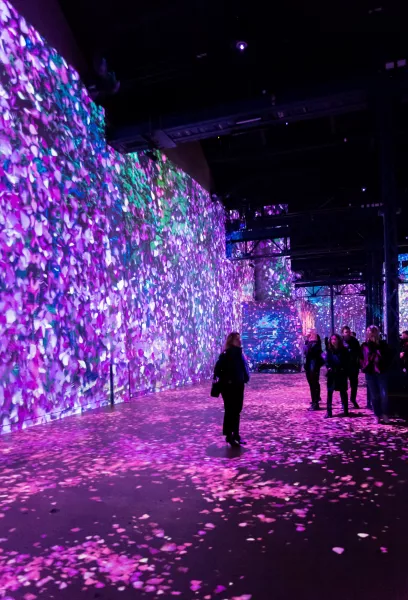 Exposition Van Gogh Japon Reve a Paris Atelier des Lumieres